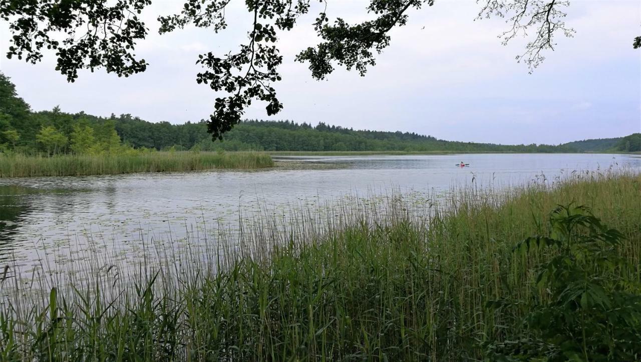 Ferienhaus Dora Villa Rechlin Bagian luar foto
